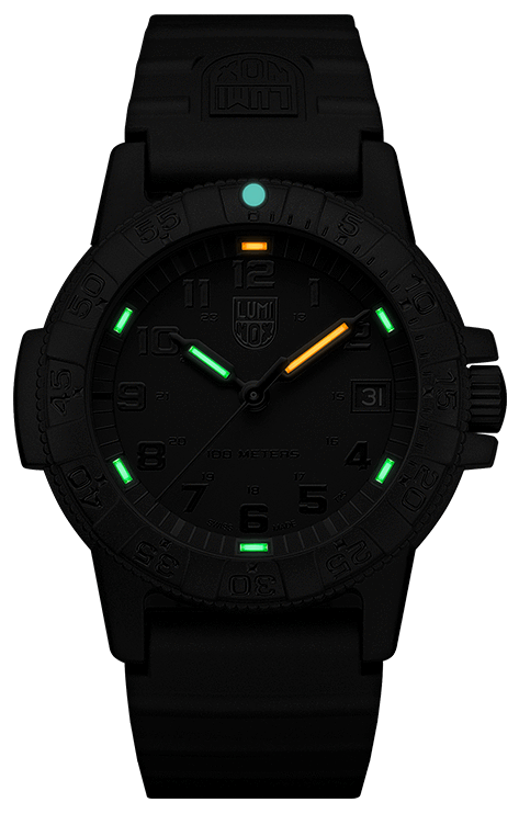 Luminox Leatherback SEA Turtle 0301.BO | It's About Time Boutique