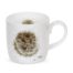 Royal Worcester Wrendale Designs MUG 14 OZ AWAKENING (HEDGEHOG)