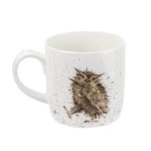 Royal Worcester Wrendale Designs Single What a Hoot (Owl) Fine Bone China Mug
